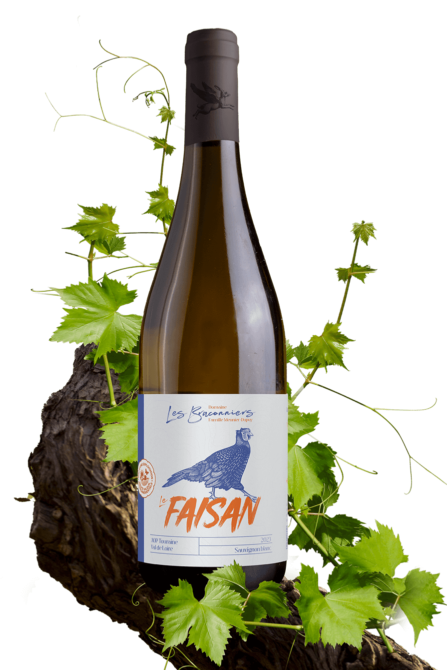 Le Faisan