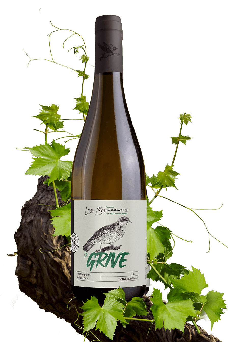 La Grive