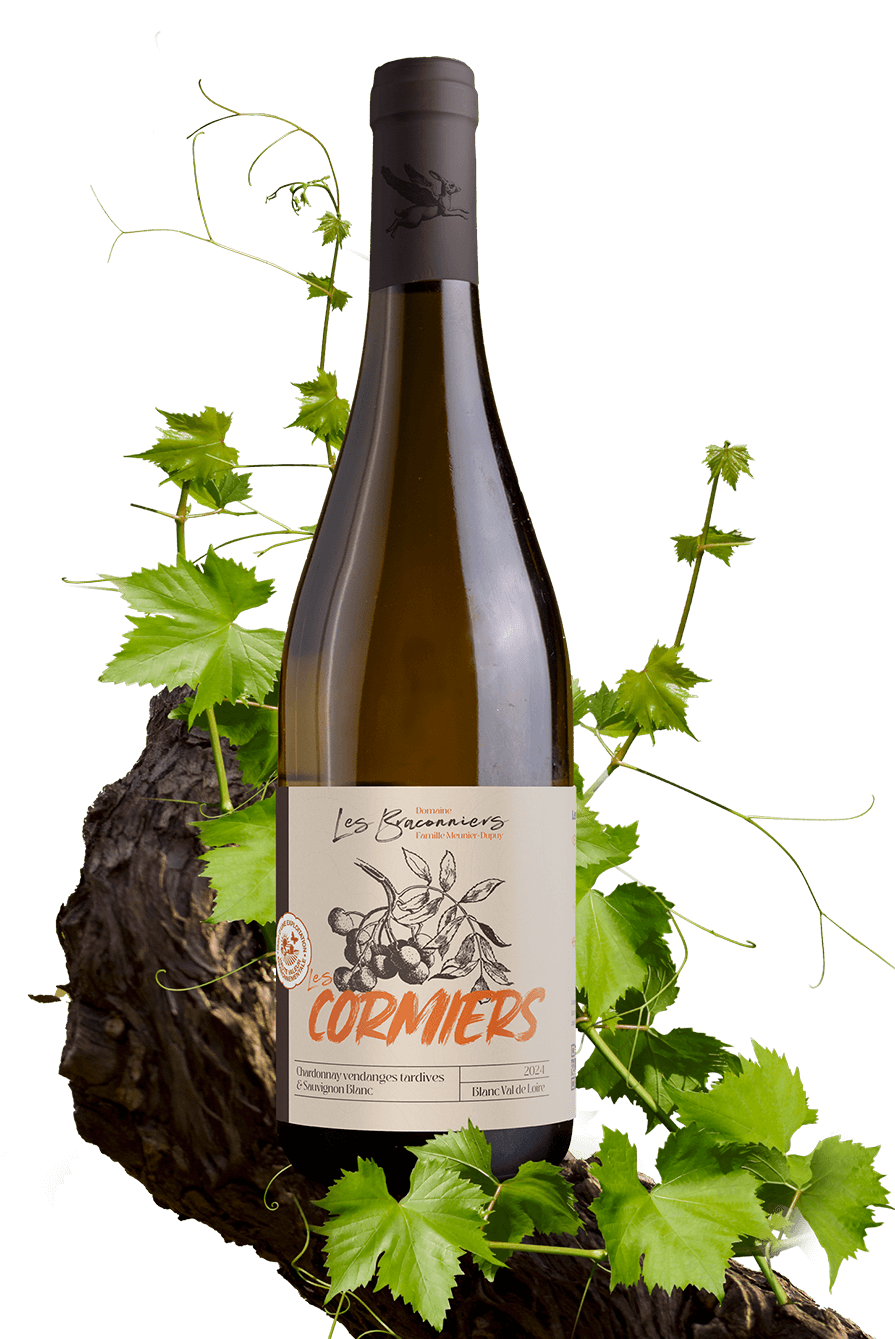 Les Cormiers